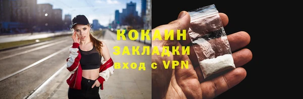 гашик Верея