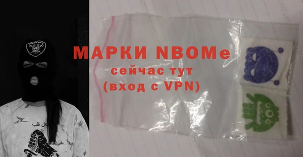гашик Верея