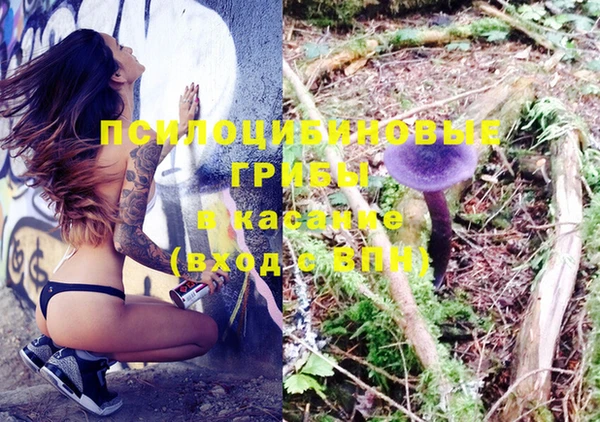 гашик Верея
