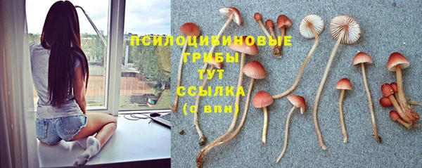 прущая мука Верхний Тагил
