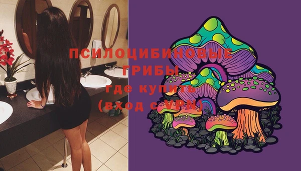 прущая мука Верхний Тагил