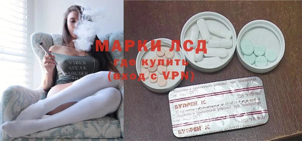 гашик Верея