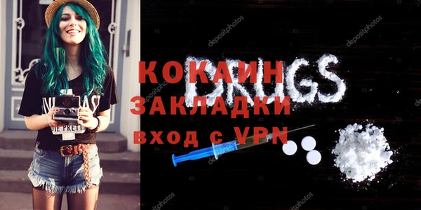 гашик Верея