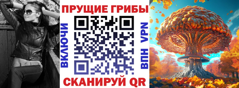 дарк нет формула  наркота  Кемь  Галлюциногенные грибы Magic Shrooms 